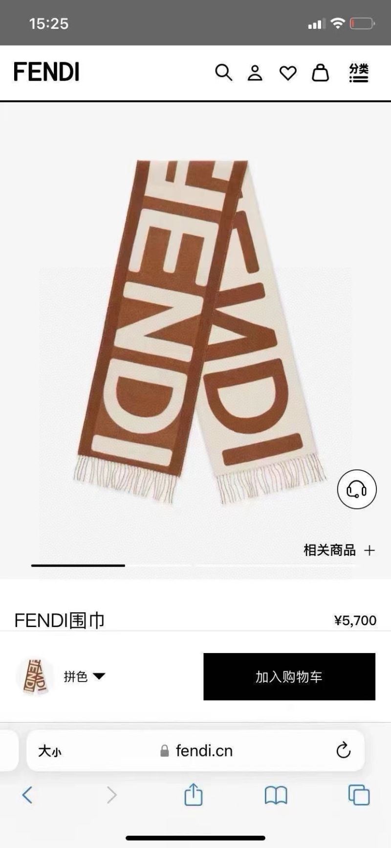 Fendi Scarf